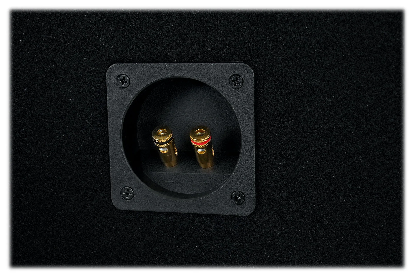 Rockville RV1010P Dual 10