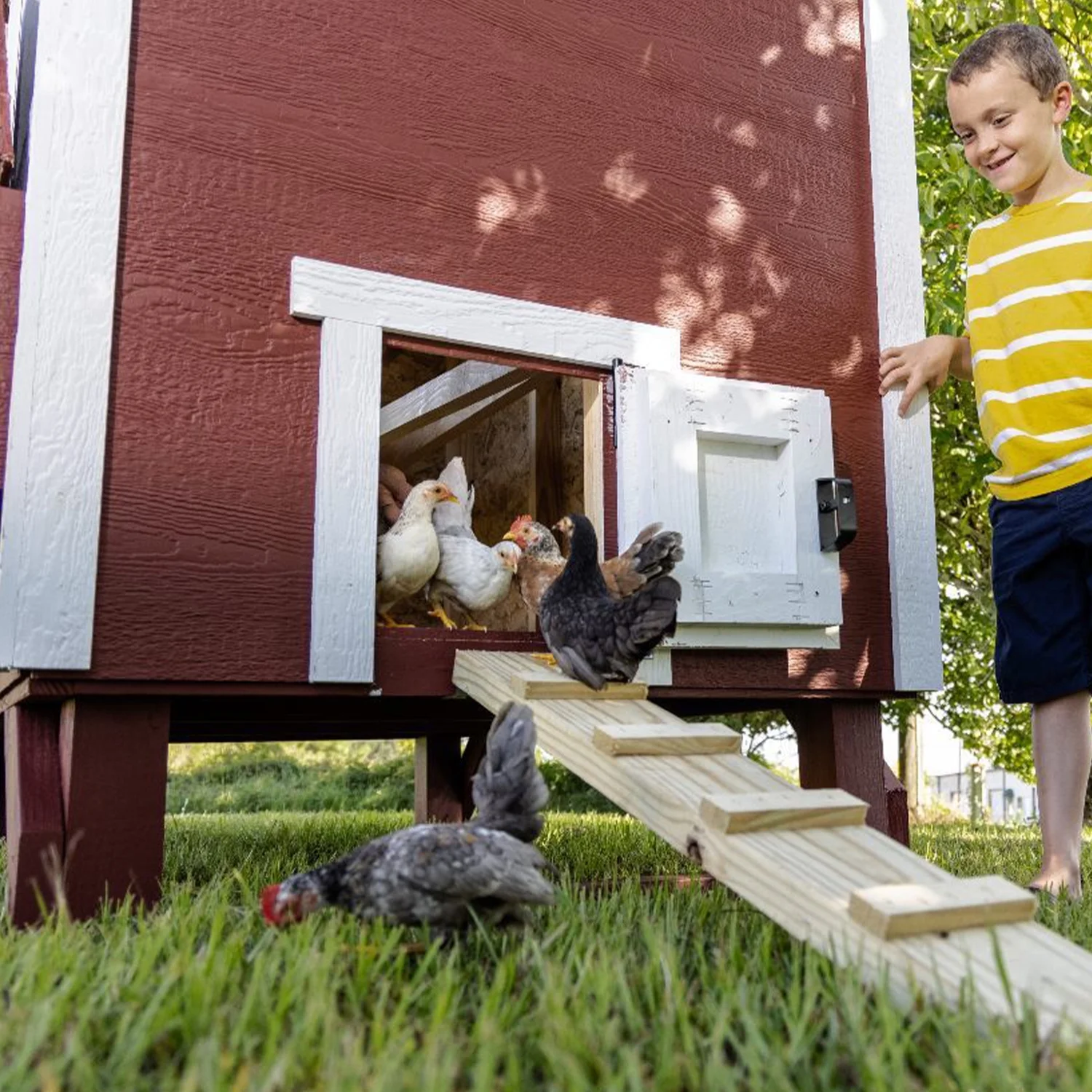 OverEZ Chicken Coop - Large | Hatching Time