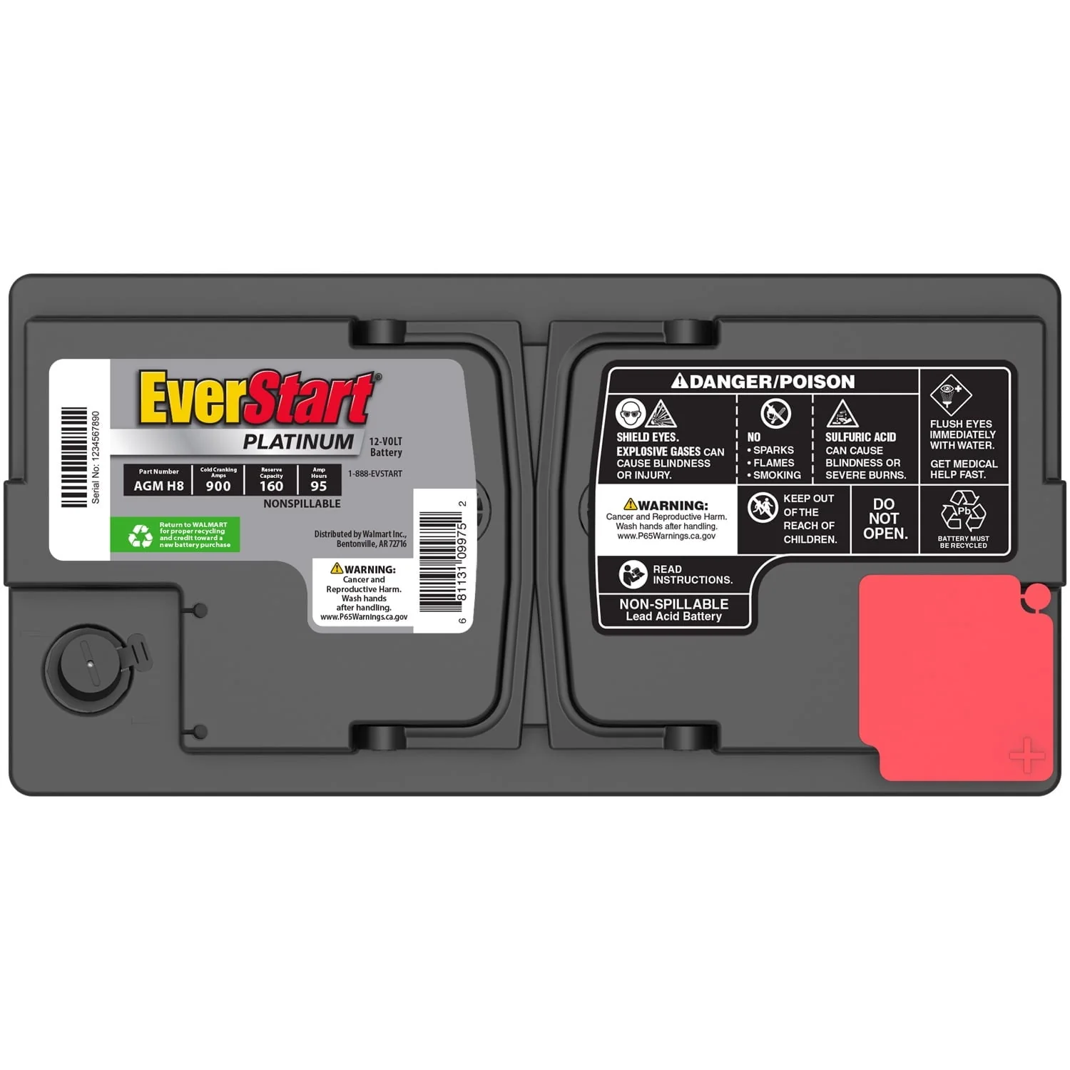 EverStart Platinum BOXED AGM Battery, Group Size H8 12 Volt, 900 CCA